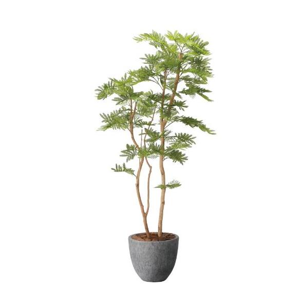 GLPA-086 エバーフレッシュ1.6m/全長160cm 幅75cm 奥行60cm  鉢φ36.5cm×H45cm/業務用/新品/送料別途見積