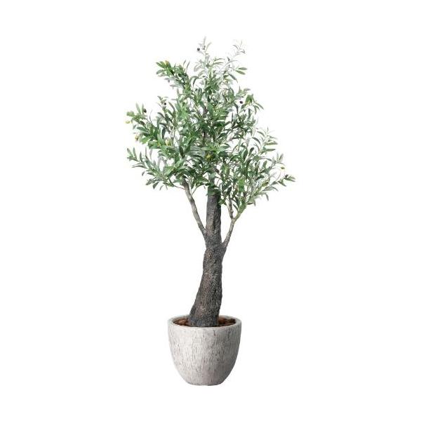 GLPA-109 ナチュラルオリーブ1.7m/全長170cm 幅65cm 奥行き60cm  鉢φ33cm×H29cm/業務用/新品/送料別途見積