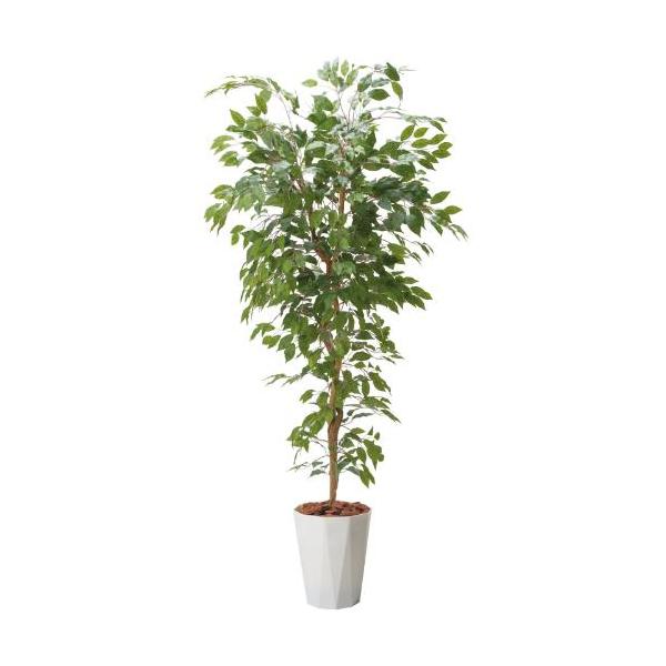 GLPS-1290/180cmベンジャミンフィカスツリー 全長180cm 幅70cm 鉢サイズ:H39cm W32?36cm/業務用/新品/送料別途見積