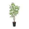 GLPS-1497/180cmトネリコポット 全長180cm 幅90cm 鉢:φ32.5cm×H38.5cm/業務用/新品/送料別途見積