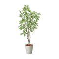 GLPS-1497/180cmトネリコポット 全長180cm 幅90cm 鉢:φ32.5cm×H38.5cm/業務用/新品/送料別途見積