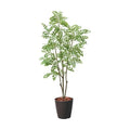 GLPS-1497/180cmトネリコポット 全長180cm 幅90cm 鉢:φ32.5cm×H38.5cm/業務用/新品/送料別途見積