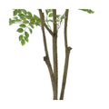 GLPS-1497/180cmトネリコポット 全長180cm 幅90cm 鉢:φ32.5cm×H38.5cm/業務用/新品/送料別途見積