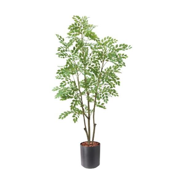 GLPS-1497A/180cmトネリコ 全長180cm 幅90cm 鉢サイズ:H35～36cm W31.5～37.5cm/業務用/新品/送料別途見積