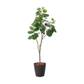 GLPS-1498/180cmウンベラータポット 全長180cm 幅75cm 鉢:φ32.5cm×H38.5cm/業務用/新品/送料別途見積