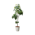 GLPS-1512/180cmウンベラータポット 全長180cm 幅85cm 鉢:φ32.5cm×H38.5cm/業務用/新品/送料別途見積