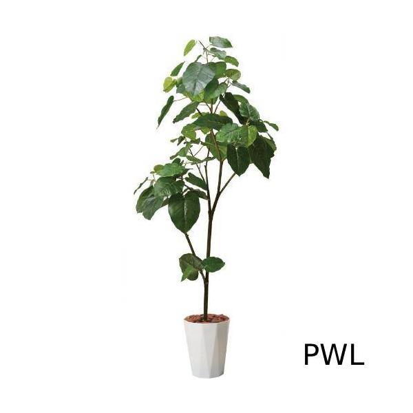 GLPS-1512/180cmウンベラータポット 全長180cm 幅85cm 鉢:φ32.5cm×H38.5cm/業務用/新品/送料別途見積