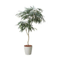 GLPS-1516/180cmショウナンゴムポット 全長180cm 幅85cm 鉢:φ32.5cm×H38.5cm/業務用/新品/送料別途見積
