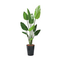 GLPS-1520/120cmオーガスタ 全長120cm 幅60cm 鉢サイズ:H30cm W26～30.5cm/業務用/新品/送料別途見積