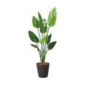 GLPS-1520/120cmオーガスタ 全長120cm 幅60cm 鉢サイズ:H30cm W26～30.5cm/業務用/新品/送料別途見積