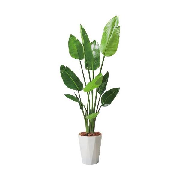 GLPS-1520/120cmオーガスタ 全長120cm 幅60cm 鉢サイズ:H30cm W26～30.5cm/業務用/新品/送料別途見積