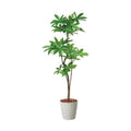 GLPS-1522/180cmパキラポット 全長180cm 幅90cm 鉢:φ32.5cm×H38.5cm/業務用/新品/送料別途見積