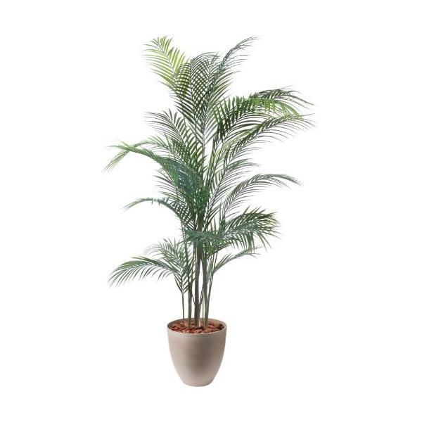 GLPS-1534A/150cmアレカヤシ 全長150cm 幅80cm 鉢サイズ:H25～28cm W27.5～29cm/業務用/新品/送料別途見積
