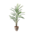 GLPS-1550A/185cmアレカヤシL 全長185cm 幅80cm 鉢サイズ:H35～36cm W31.5～37.5cm/業務用/新品/送料別途見積