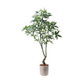 GLPS-1566A/180cmパキラ 全長180cm 幅90cm 鉢サイズ:H35～36cm W31.5～37.5cm/業務用/新品/送料別途見積