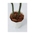 GLPS-1589A/120cmウンベラータ 全長120cm 幅90cm 鉢サイズ:H25～28cm W27.5～29cm/業務用/新品/送料別途見積