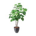GLPS-1589A/120cmウンベラータ 全長120cm 幅90cm 鉢サイズ:H25～28cm W27.5～29cm/業務用/新品/送料別途見積