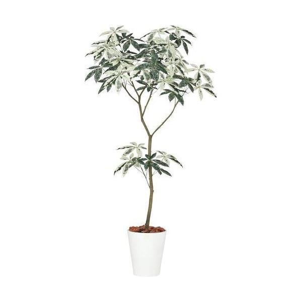 ポピー フイリパキラ1.5m GLPT-201 全長150cm・幅80cm・奥行70cm 鉢：φ23.8cm×H26cm