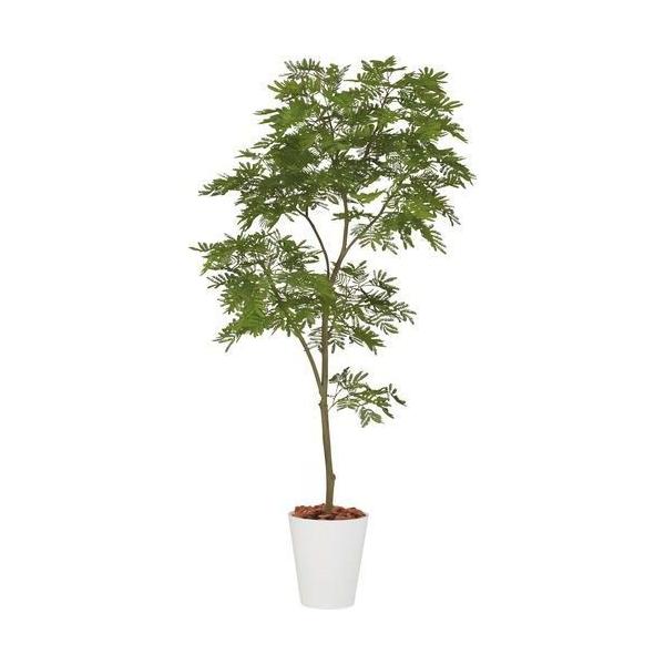 ポピー エバーフレッシュ1.8m GLPT-203 全長180cm・幅90cm・奥行75cm 鉢：φ28.5cm×H32cm