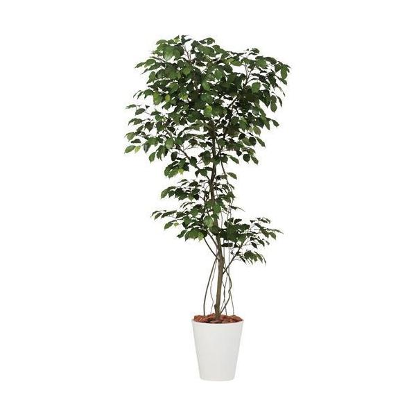 ポピー ベンジャミン1.5m GLPT-207 全長150cm・幅85cm・奥行70cm 鉢：φ23.8cm×H26cm