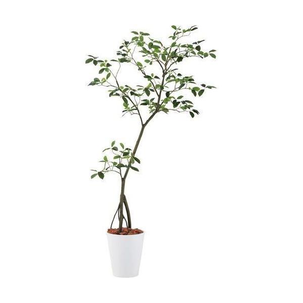 ポピー ガジュマル1.8m GLPT-213 全長180cm・幅90cm・奥行80cm 鉢：φ28.5cm×H32cm