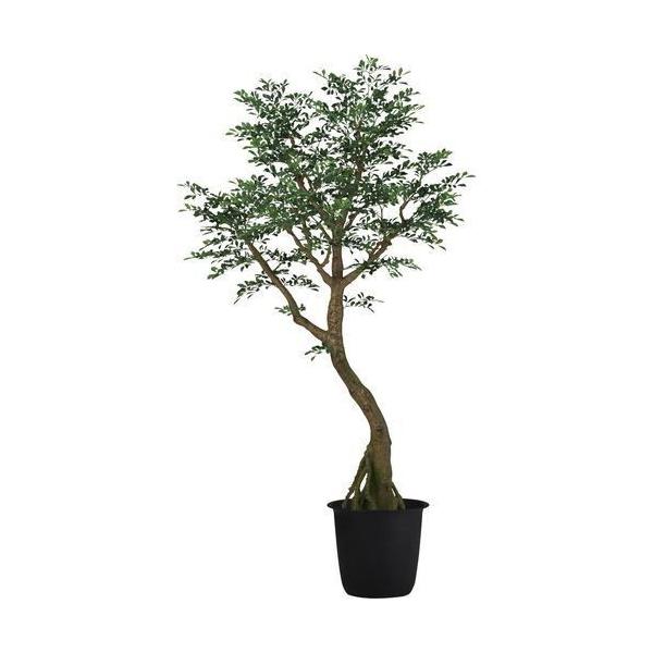 ポピー トネリココアッド2.3m GLPT-226 全長230cm・幅105cm・奥行100cm 鉢：φ43cm×H38cm